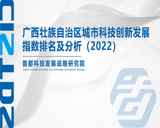 欧美大鸡八视频【成果发布】广西壮族自治区城市科技创新发展指数排名及分析（2022）